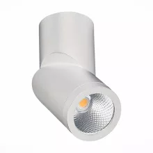 ST Luce ST650.532.10 Точечный светильник 