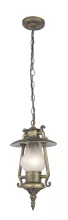 Favourite 1496-1P Подвесной уличный светильник ,беседка,веранда,сад