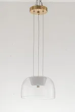 Подвесной светильник Narbolia Narbolia L 1.P5 CL купить в Москве