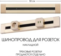 Электроустановочный шинопровод Am-track-sockets 382305TO/50 Gold купить в Москве