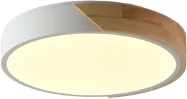 Потолочный светильник Alberro ZRS.01289.24 купить в Москве