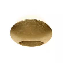 iLedex ZD8152-6W Gold Настенный светильник 