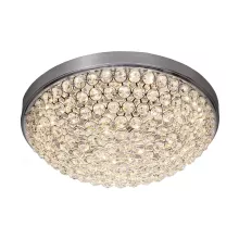 Silver Light 841.40.7 Потолочный светильник ,кафе,коридор,кухня,прихожая