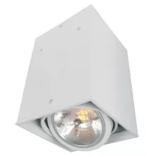 Arte Lamp A5936PL-1WH Потолочный светильник ,магазин,кафе,коридор,гостиная,кухня,прихожая