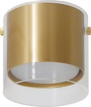 Точечный светильник Barrel 48796 купить в Москве