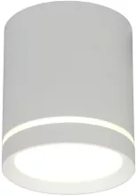 Omnilux OML-102429-05 Точечный светильник 