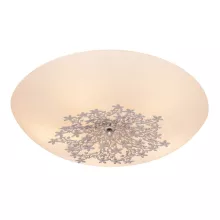 Silver Light 836.50.5 Настенно-потолочный светильник ,кафе,коридор,кухня,прихожая