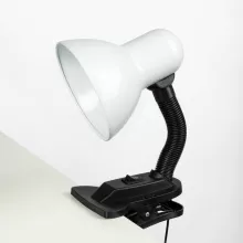 Офисная настольная лампа TL2N 000002953 купить в Москве