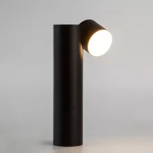 Eurosvet 80425/1 черный Интерьерная настольная лампа 