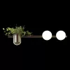 Бра Odeon Light Flower 4681/2W - фото с прозрачным фоном (миниатюра)