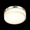 Настенно-потолочный светильник Odeon Light Rima 4680/12CL - фото с прозрачным фоном (миниатюра)