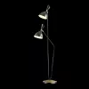 Торшер Odeon Light Rasto 4665/2F - фото с прозрачным фоном (миниатюра)