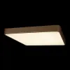 Потолочный светильник Flims 10228/D - фото дополнительное (миниатюра)