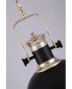 Подвесной светильник Batore LDP 274-1 BK - фото дополнительное (миниатюра)