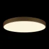 Потолочный светильник Flims 10228/B - фото дополнительное (миниатюра)