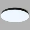 Потолочный светильник  48888 - фото дополнительное (миниатюра)