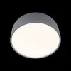 Потолочный светильник Axel 10201/350 Grey - фото дополнительное (миниатюра)