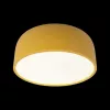 Потолочный светильник Axel 10201/350 Yellow - фото дополнительное (миниатюра)