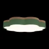 Потолочный светильник Axel 10225/36 Green - фото дополнительное (миниатюра)