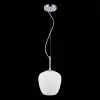 Подвесной светильник Cesare SL1168.103.01 - фото дополнительное (миниатюра)