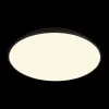 Потолочный светильник Brim 10226 Black - фото дополнительное (миниатюра)
