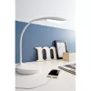 Офисная настольная лампа Swan 106093 - фото в интерьере (миниатюра)
