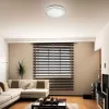Настенно-потолочный светильник Modes 2043/DL - фото в интерьере (миниатюра)