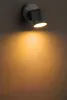 Настенный светильник уличный  W6092-3К WiZ - фото в интерьере (миниатюра)