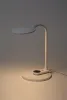 Офисная настольная лампа  NLED-498-10W-W - фото в интерьере (миниатюра)