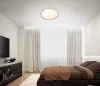Потолочный светильник LED LED LAMPS 81101 - фото в интерьере (миниатюра)