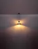 Подвесной светильник Badalona 15355H - фото в интерьере (миниатюра)