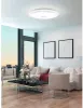 Настенно-потолочный светильник Lanciano 97738 - фото в интерьере (миниатюра)
