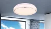 Потолочный светильник Kalle 48408-18 - фото в интерьере (миниатюра)