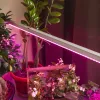Светильник для растений  FITO-9W-Т5-N - фото (миниатюра)