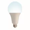 Лампочка светодиодная  LED-A95-35W/6500K/E27/FR/NR картон - фото (миниатюра)