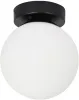 Настенно-потолочный светильник Alcor A2224PL-1BK - фото (миниатюра)
