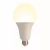 Лампочка светодиодная  LED-A95-35W/3000K/E27/FR/NR картон - фото (миниатюра)