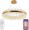 Подвесная люстра Smart Нимбы LED LAMPS 81268 - фото (миниатюра)