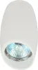 Точечный светильник  OL20 WH - фото (миниатюра)