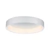 Потолочный светильник Ardora Deckenl Dim 70906 - фото (миниатюра)