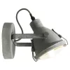 Настенно-потолочный светильник Lussole LSP-9883 - фото (миниатюра)