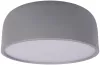 Потолочный светильник Axel 10201/350 Grey - фото (миниатюра)