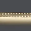 Светодиодная лента Lightstar 423004 - фото (миниатюра)