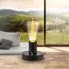 Интерьерная настольная лампа Fanal I 28185 - фото (миниатюра)