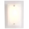 Настенно-потолочный светильник Дубравия Полина 197-13-21 - фото (миниатюра)