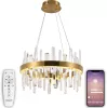 Подвесная люстра Smart Нимбы LED LAMPS 81254 - фото (миниатюра)