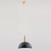 Подвесной светильник Anja 9650 - фото (миниатюра)