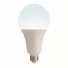 Лампочка светодиодная  LED-A95-35W/4000K/E27/FR/NR картон - фото (миниатюра)