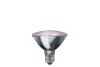 Лампочка галогеновая PAR30 24971 - фото (миниатюра)