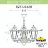 Уличный светильник подвесной RUT E26.120.S30.BXF1R - фото схема (миниатюра)